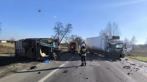 Zderzenie dwóch ciężarówek na DK 91 w Ozorkowie