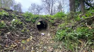 Tajemnicza śmierć nastolatka. Są wyniki sekcji