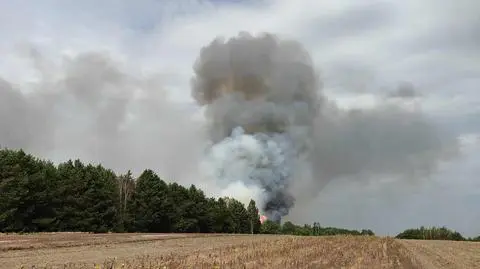 W ogniu stanął las 