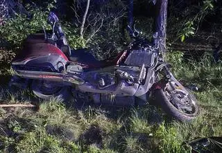 Łoś wtargnął na drogę. Motocyklista ciężko ranny, pasażerka nie żyje