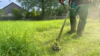 Negatywne skutki częstego koszenia