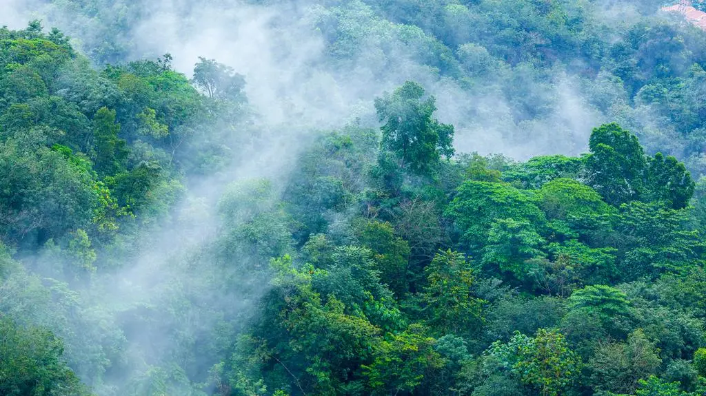 Te opady są warte dziesiątki miliardów dolarów