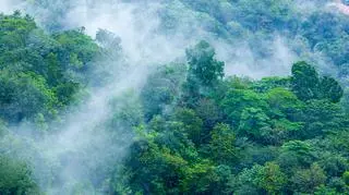 Te opady są warte dziesiątki miliardów dolarów