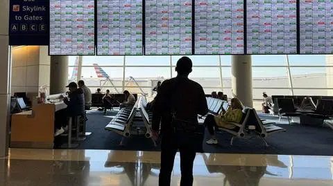 grapevine lotnisko usa - Mason Brighton shutterstock_2699305335