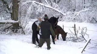 Jeśli będzie potrzeba, pojadą zaprzęgiem - mówi jeden z mieszkańców