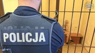 Pijana 32-latka za kółkiem wiozła swoje dziecko i psa