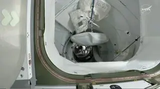 Ostatnie chwile Polaka na ISS. Wraca z kosmosu 