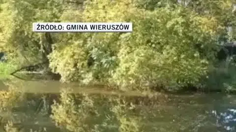 Gmina Wieruszów