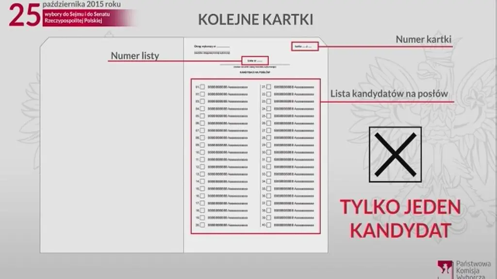 Jak oddać ważny głos w wyborach parlamentarnych?