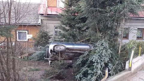 Ucieczkę przed policją zakończył w choinkach na posesji