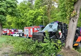 Kierowca busa uderzył w drzewo, sześć osób w szpitalach