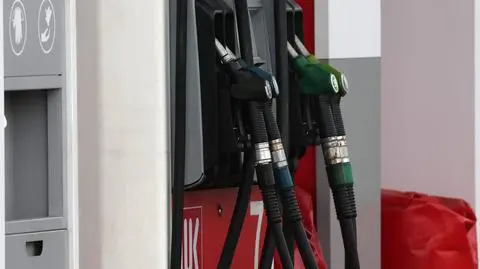 pap_20251027_0Y0 (1)