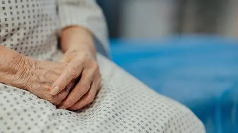 shutterstock_2554700871