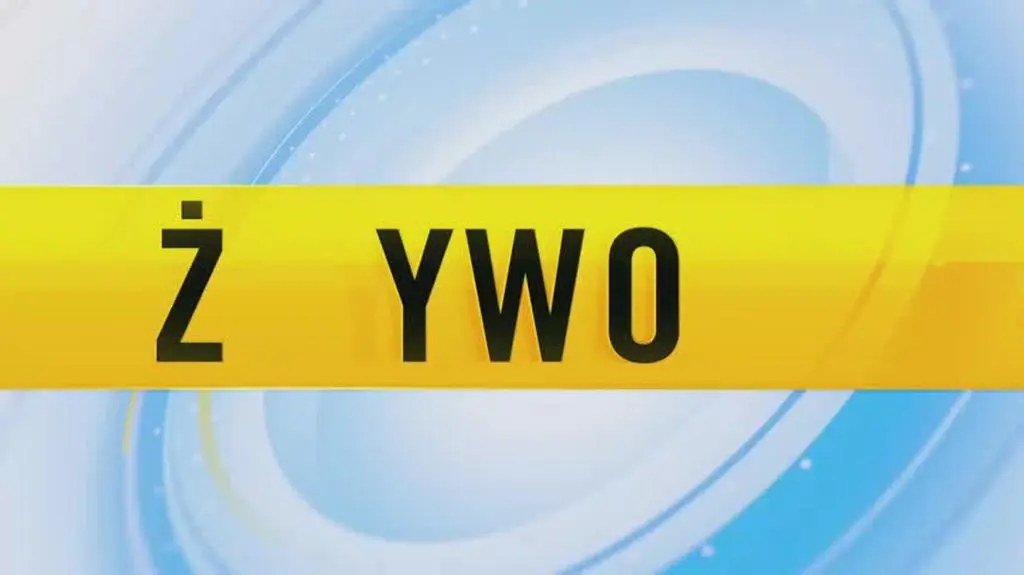TVN24 Clean_20240701140056(10216)_aac