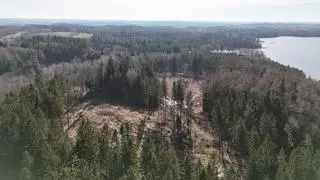 Las zlokalizowany jest od wschodniej strony jeziora 