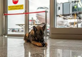 Biały karton, w środku miał być "prezent". Do akcji ruszył Jay 
