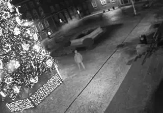 Z miejskiej choinki zniknęły ozdoby. "Czy w Szczecinie grasuje Grinch?"