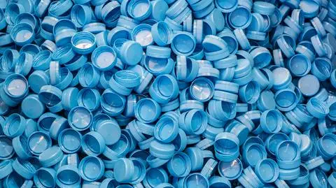 shutterstock_1629001495