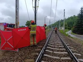 Do zdarzenia doszło na przejeździe z rogatkami i sygnalizacją