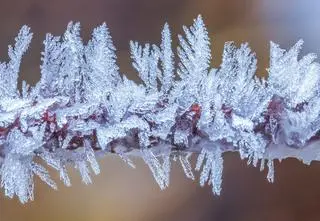 Szczypie mróz, świeci słońce. I jest śmierdzący problem