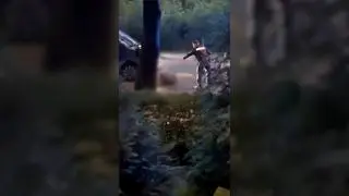 Mężczyzna niszczył samochody