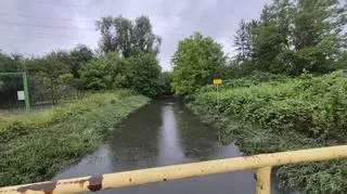 Górki Ustowskie. Zalane działki 