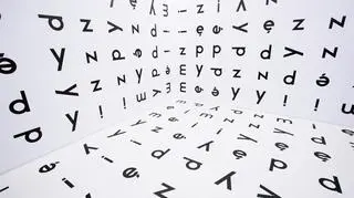 - Rada Języka Polskiego zaskoczyła nas - językoznawców, nauczycieli, wydawców - ogłoszeniem reformy - mówi dr Artur Czesak z UJ