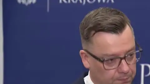 29 1330 wojcikowska plivenowak 2