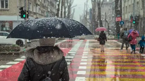 shutterstock_2641753187_1