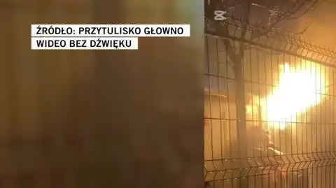 Przytulisko Głowno