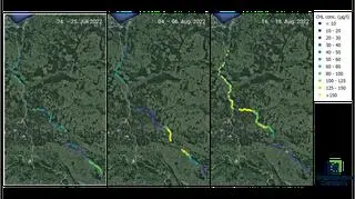 Satellite images confirm massive algae blooms in Oder River