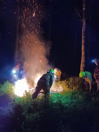 Wyznaczono nagrodę za wskazanie sprawcy podpaleń