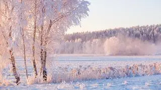 Pogoda na zimę. Najnowsza prognoza IMGW