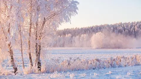 Zima, śnieg, zimno, mróz