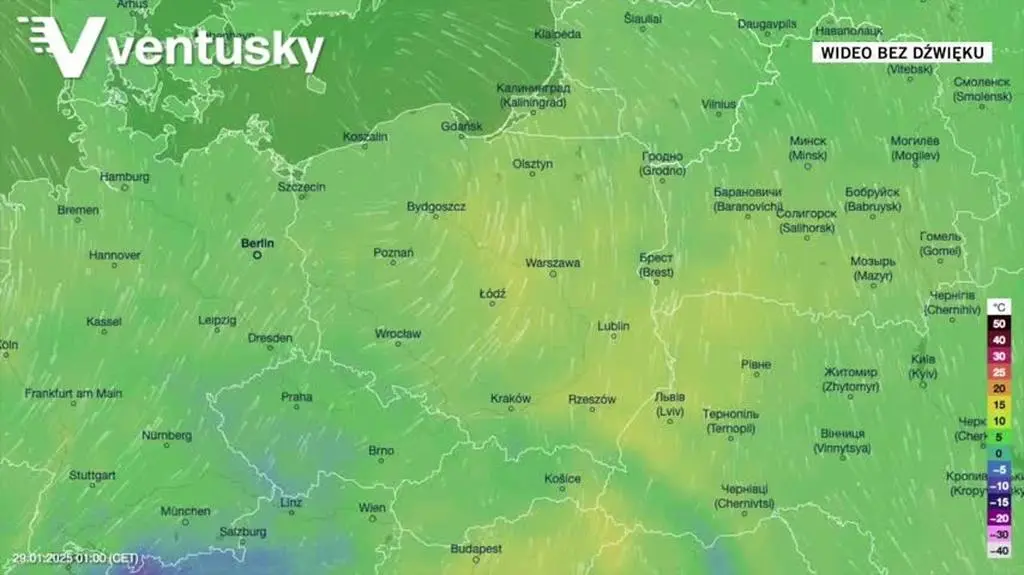 Prognozowana temperatura w najbliższych dniach