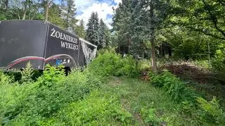Działka w Jadwisinie