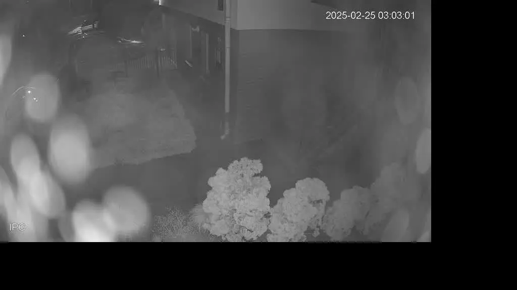 D02_2025022502595902