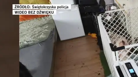 Świętokrzyska policja