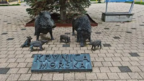 Pomnik dzików w Krynicy Morskiej
