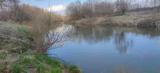 Ciało było uwięzione w podwodnych przeszkodach