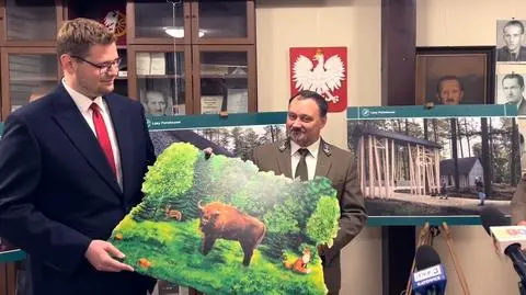 "Książę Raciborza" sprowadził żubry. "Ciężko mówić o uzasadnieniu ekonomicznym"