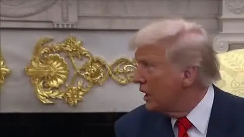 trump 7