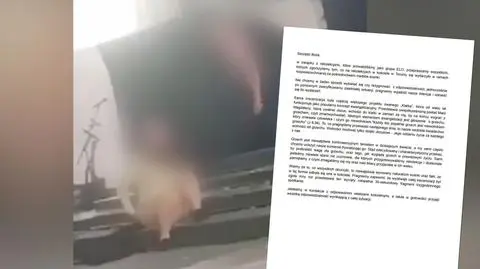 Oświadczenie grupy ELO po rekolekcjach w Toruniu