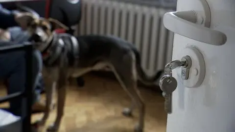 Kochasz psy? W tym domu możesz z nimi zamieszkać