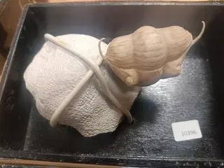 Towar wyceniono na ponad 27 tys. zł 