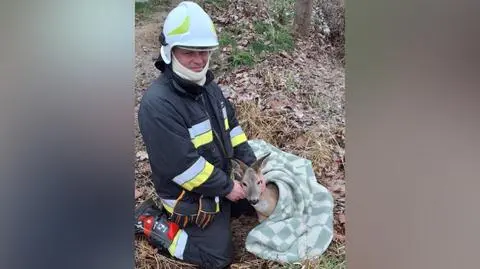 Sarnie pomogli strażacy