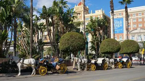 hiszpania malaga konie dorozki shutterstock_2589521111
