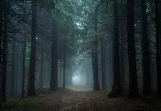 Brał udział w polowaniu, zgubił się w lesie