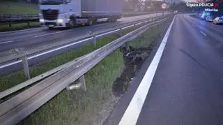 Do zdarzenia doszło na drodze krajowej nr 81