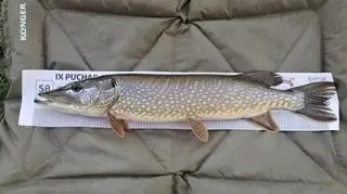 Na manipulację przy zdjęciach zwrócili uwagę internauci oraz jeden z uczestników zawodów